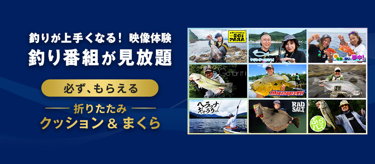 説明文