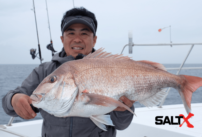 大ダイを釣り上げる様子