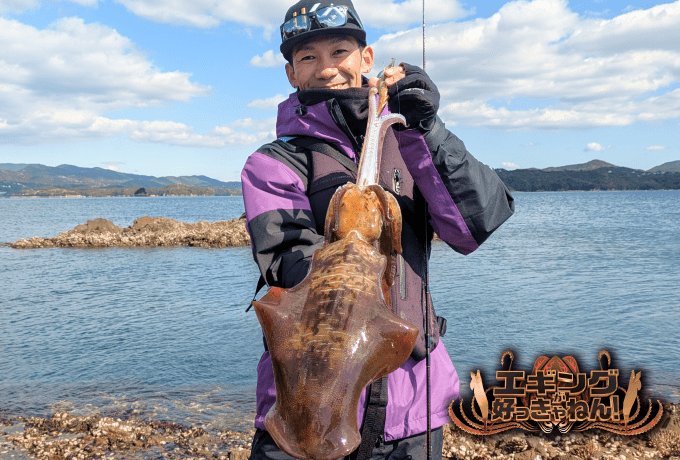 イカを釣り上げる様子