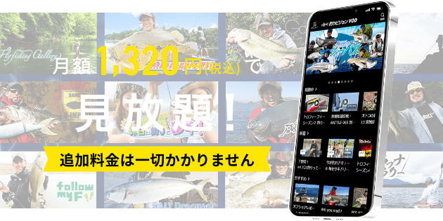 料金プラン月額1320円
