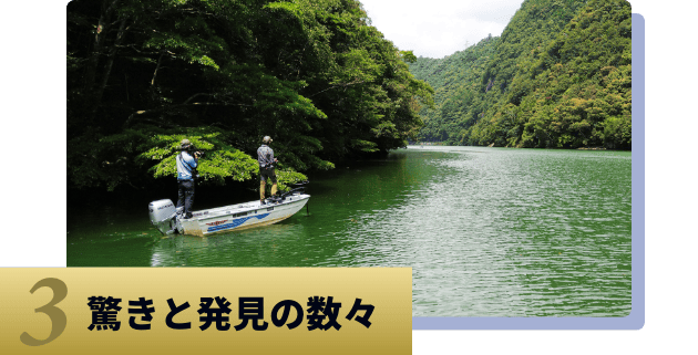 知りたかったそのすべてがここにある