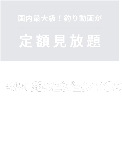 定額見放題