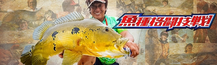 魚種格格闘技戦