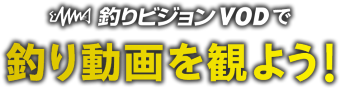 釣りビジョンで釣り動画を観よう
