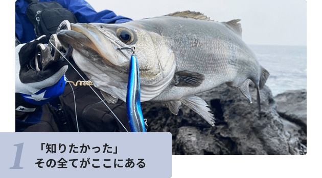 「知りたかった」その全てがここにある