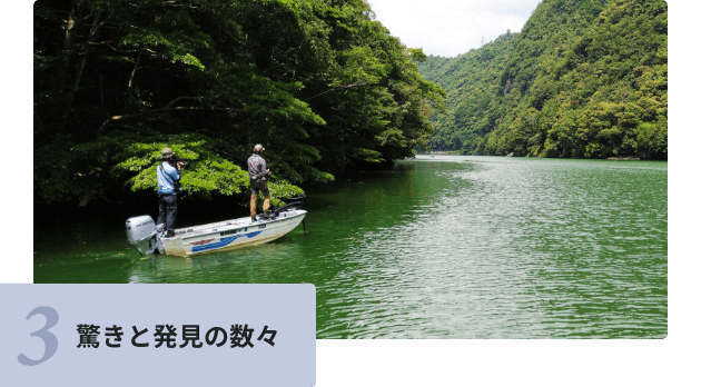 驚きと発見の数々