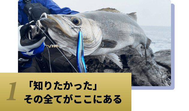 知りたかったそのすべてがここにある