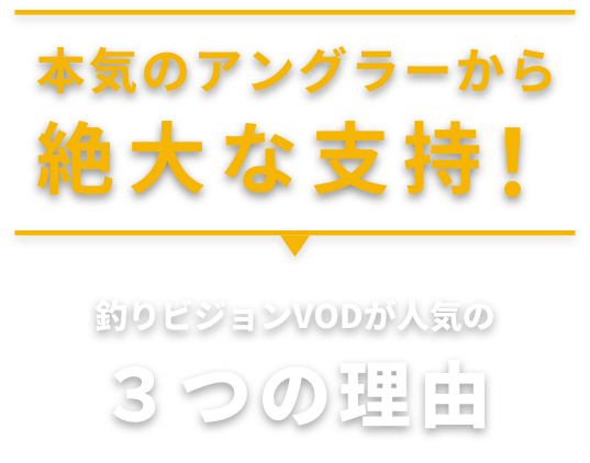 選ばれる３つの理由
