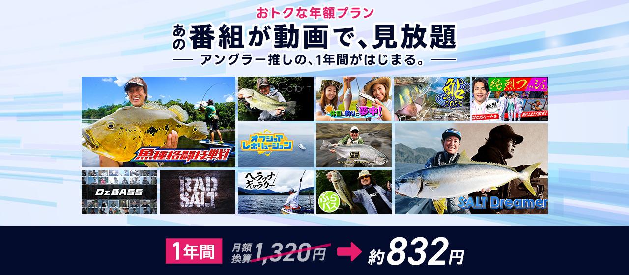 釣りビジョン